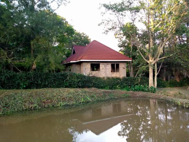 whatsapp image 2026 06 06 at 7.53.18 pm (1)